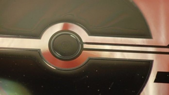 microgravity bioreactor