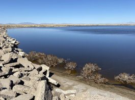 World-record PFAS contamination found at Holloman Lake