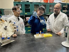 Iron powder emerges as powerful tool against PFOS "forever chemicals"