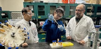 Iron powder emerges as powerful tool against PFOS "forever chemicals"