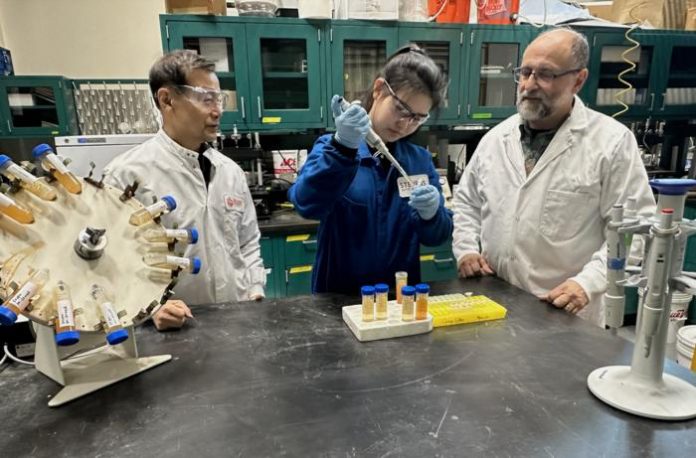 Iron powder emerges as powerful tool against PFOS 