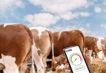 Methane-reducing practices in agriculture: What’s working on the ground? methane emissions