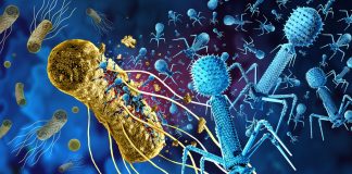 Southampton project invites public to battle AMR with phage therapy