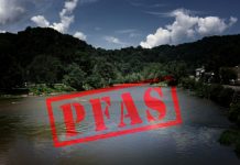 Wageningen project to transform PFAS monitoring and destruction PFAS