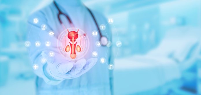 US project investigates impacts of PFAS on male reproductive health