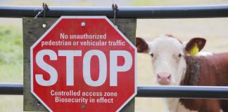 animal biosecurity