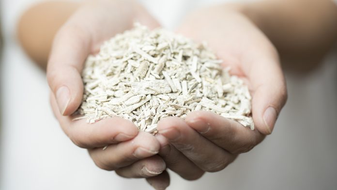 Hemspan pioneers sustainable housing with innovative hemp solutions