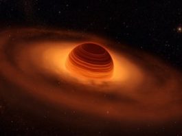 Giant rogue planets could form their own miniature solar systems