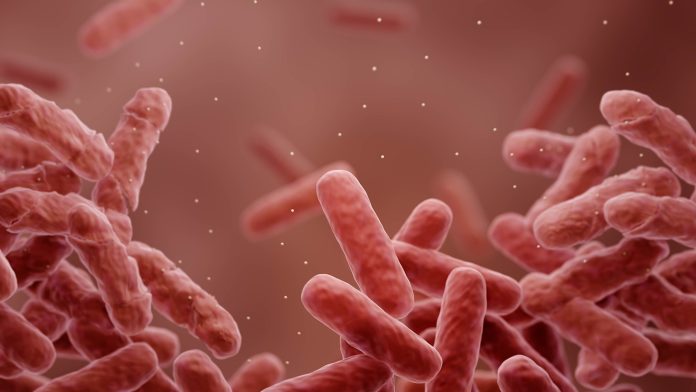 antimicrobial coatings