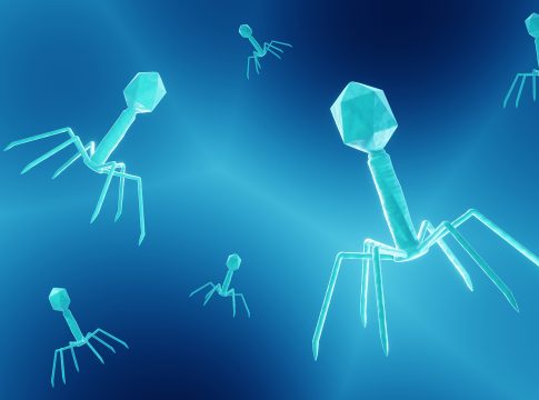 Phage therapy at scale: Delivering real-world impact in the fight against AMR