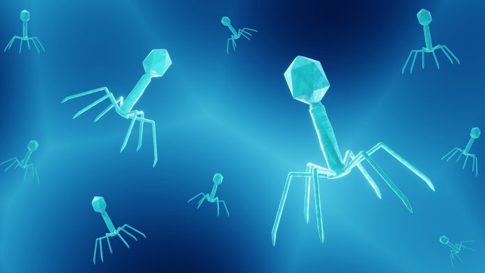 Phage therapy at scale: Delivering real-world impact in the fight against AMR