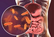 Gut bacteria may cleanse the body of toxic PFAS chemicals, say Cambridge researchers Gut bacteria may cleanse the body of toxic PFAS chemicals