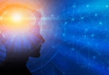 Forever chemicals may affect male brain development, study suggests Forever chemicals may affect male brain development