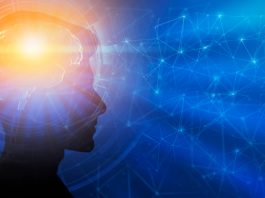 Forever chemicals may affect male brain development