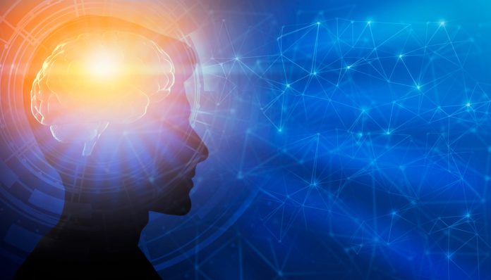 Forever chemicals may affect male brain development