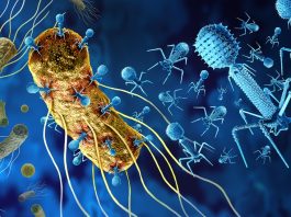 University of Southampton unlocks phage potential against antibiotic-resistant bacteria