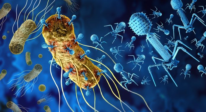 University of Southampton unlocks phage potential against antibiotic-resistant bacteria