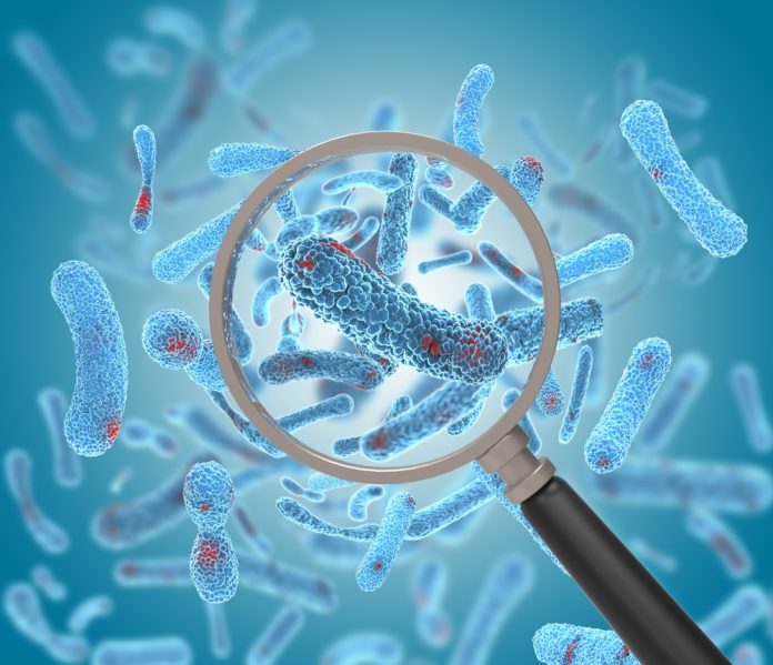 antibiotic-resistant bacteria