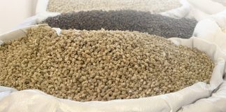 solinatra's materials