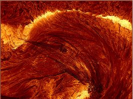 A high-resolution image of the flare from the Inouye Solar Telescope, taken on August 8, 2024, at 20:12 UT. The image is about 4 Earth-diameters on each side. Credit: NSF/NSO/AURA