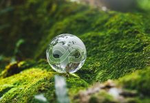 Why rigorous standards are vital in the sustainable biomaterials supply chain sustainable biomaterials