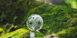 sustainable biomaterials