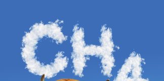 Adelaide butcher serves up world-first ‘guilt-free’ sustainable beef