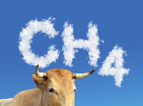 Adelaide butcher serves up world-first ‘guilt-free’ sustainable beef