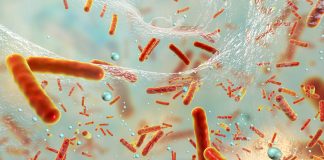 Oxford University study finds spread of antibiotic-resistant bacteria in malnourished children