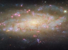 This NASA/ESA Hubble Space Telescope features the galaxy NGC 7456