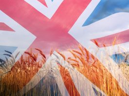 UK food system