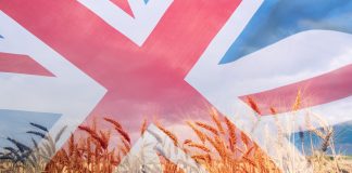 UK food system