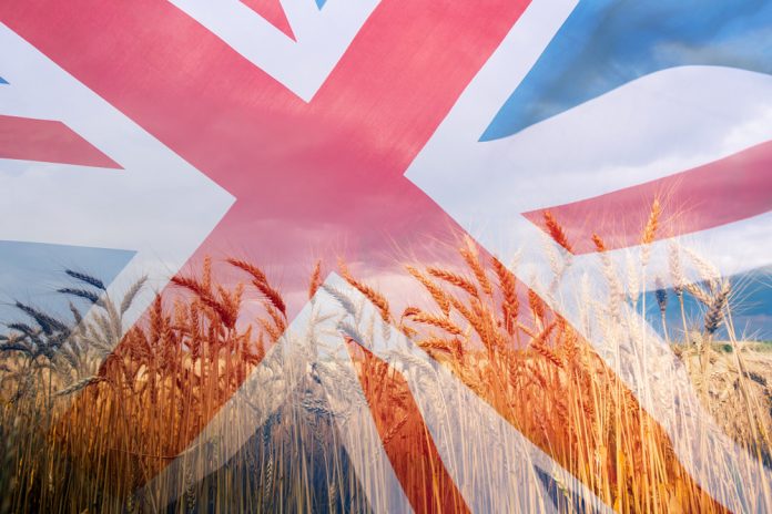 UK food system