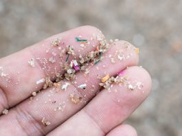 microplastics