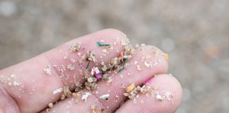 microplastics
