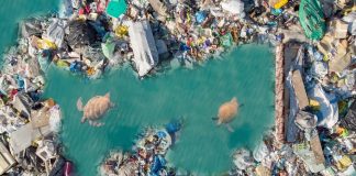 Scientists transform plastic waste into efficient CO2 capture materials