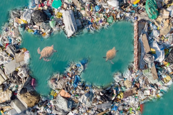 Scientists transform plastic waste into efficient CO2 capture materials