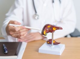 USC study uncovers how PFAS damages human liver cells