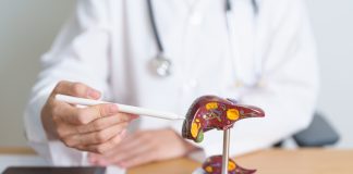 USC study uncovers how PFAS damages human liver cells