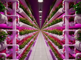vertical farming