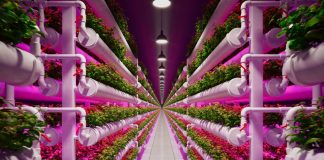 vertical farming