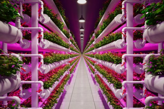 vertical farming