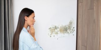 Q-Field photocatalytic coatings: Turning walls into antimicrobial defenders