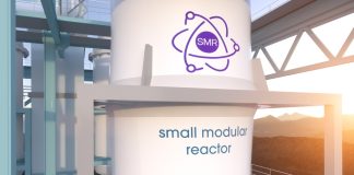 Nuclear-powered ammonia production