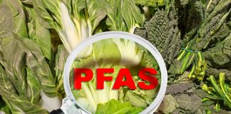 PFAs pollution
