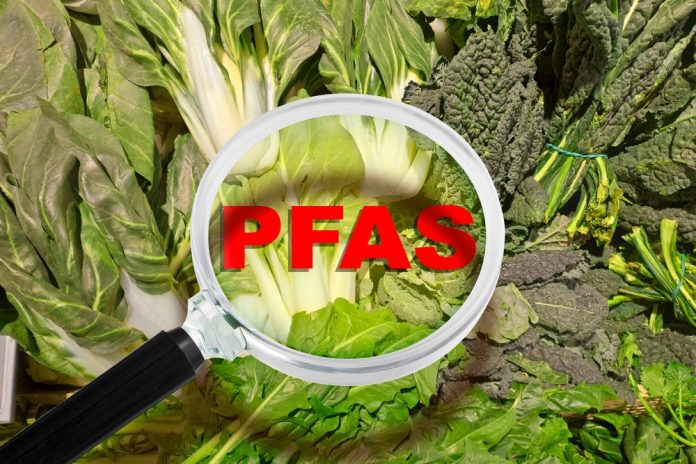 PFAs pollution