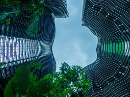 engineered living materials