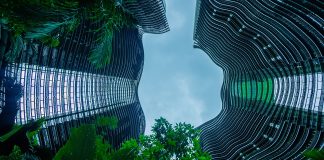 engineered living materials