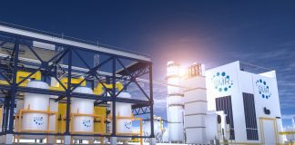 fuel performance of SMRs