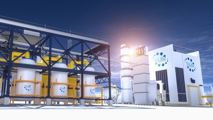 fuel performance of SMRs